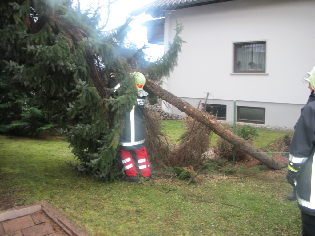 2012-01-06_TE Voralsweg 23_ 007_jpg-1334615575
