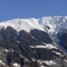_DSC00350009_1.JPG