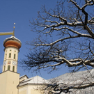 _DSC01100001.JPG
