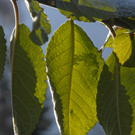_DSC02290003.JPG