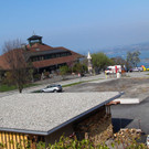 IMG_9995.JPG