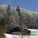 _DSC02740010_1.JPG
