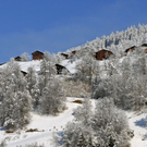 _DSC03060016_1.JPG