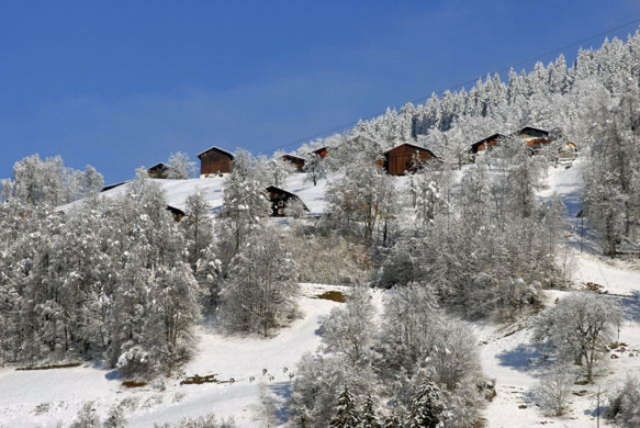 _DSC03060016_1.JPG