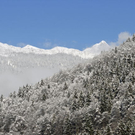 _DSC03260018_1.JPG