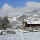 _DSC03570021.JPG