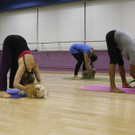 DAB1700-20110714.jpg