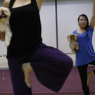 DAB2350-20110714.jpg