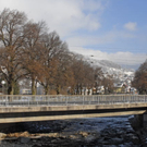_DSC04300006.JPG