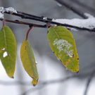 _DSC00920013.JPG