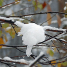 _DSC01800018.JPG