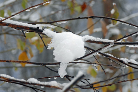 _DSC01800018.JPG