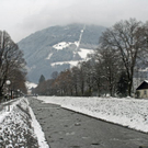 _DSC03690038_1.JPG