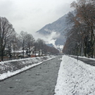 _DSC03740007.JPG