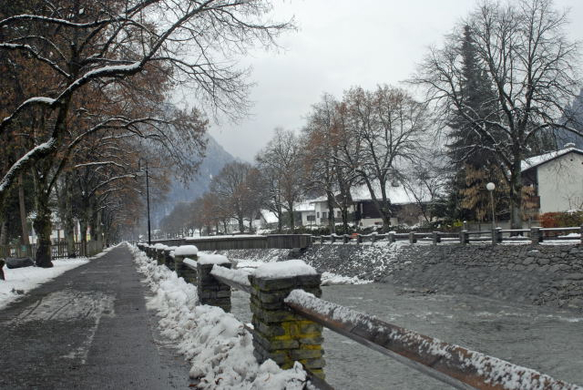 _DSC03930009.JPG