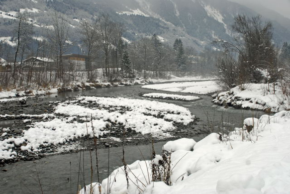 _DSC01200015_1.JPG