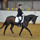 Best of Springreiten