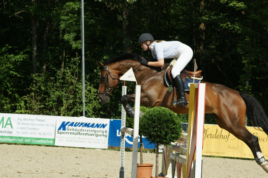 DSC02615_JPG-1334747252