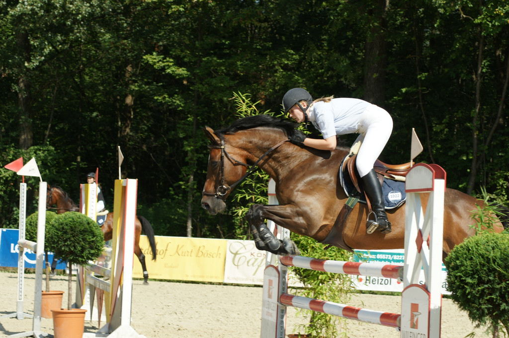 DSC02624_JPG-1334747302