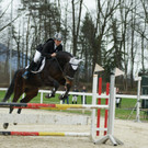 DSC06040 _2__jpg-1334747321