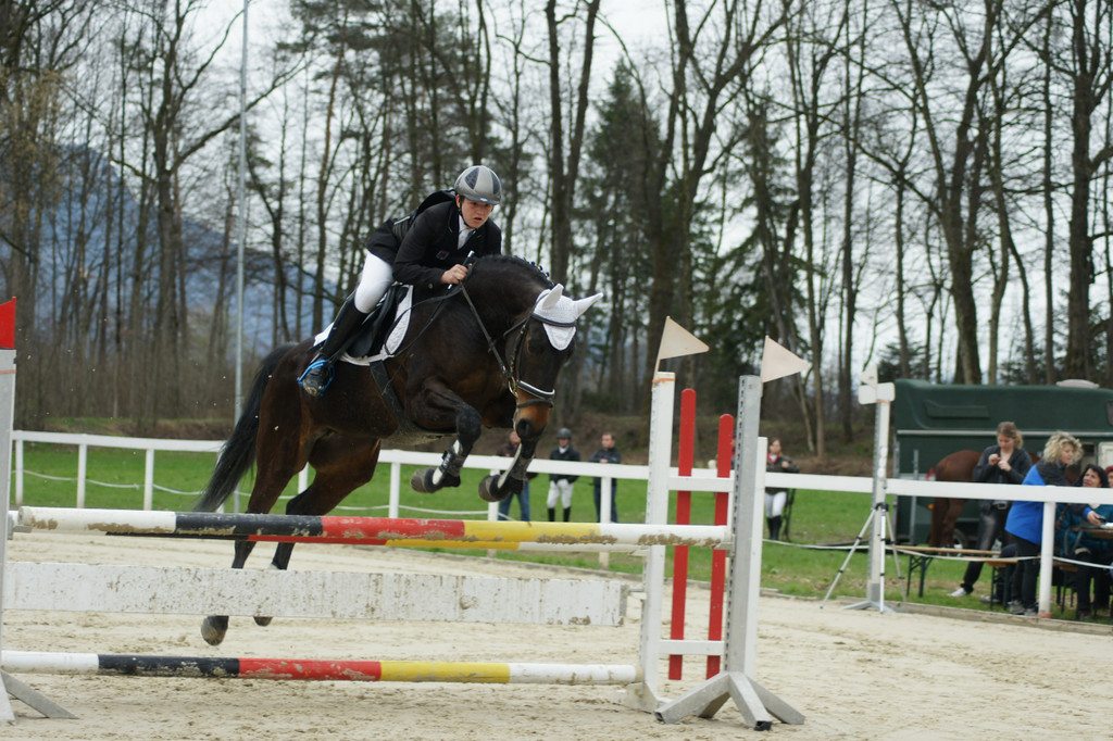 DSC06040 _2__jpg-1334747321