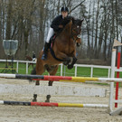 DSC06118_jpg-1334747333