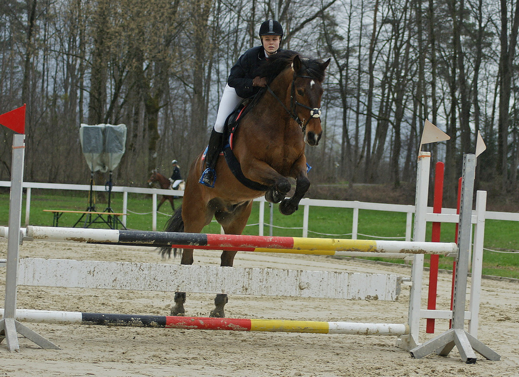 DSC06118_jpg-1334747333