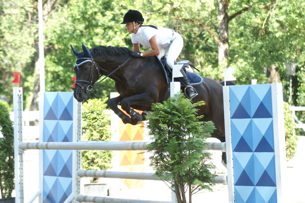 geser_JPG-1334747376