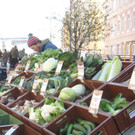 _14 FASANmarkt_bearbeitet.JPG