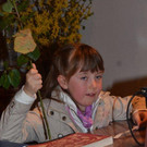 DSC_0046_jpg-1334780886