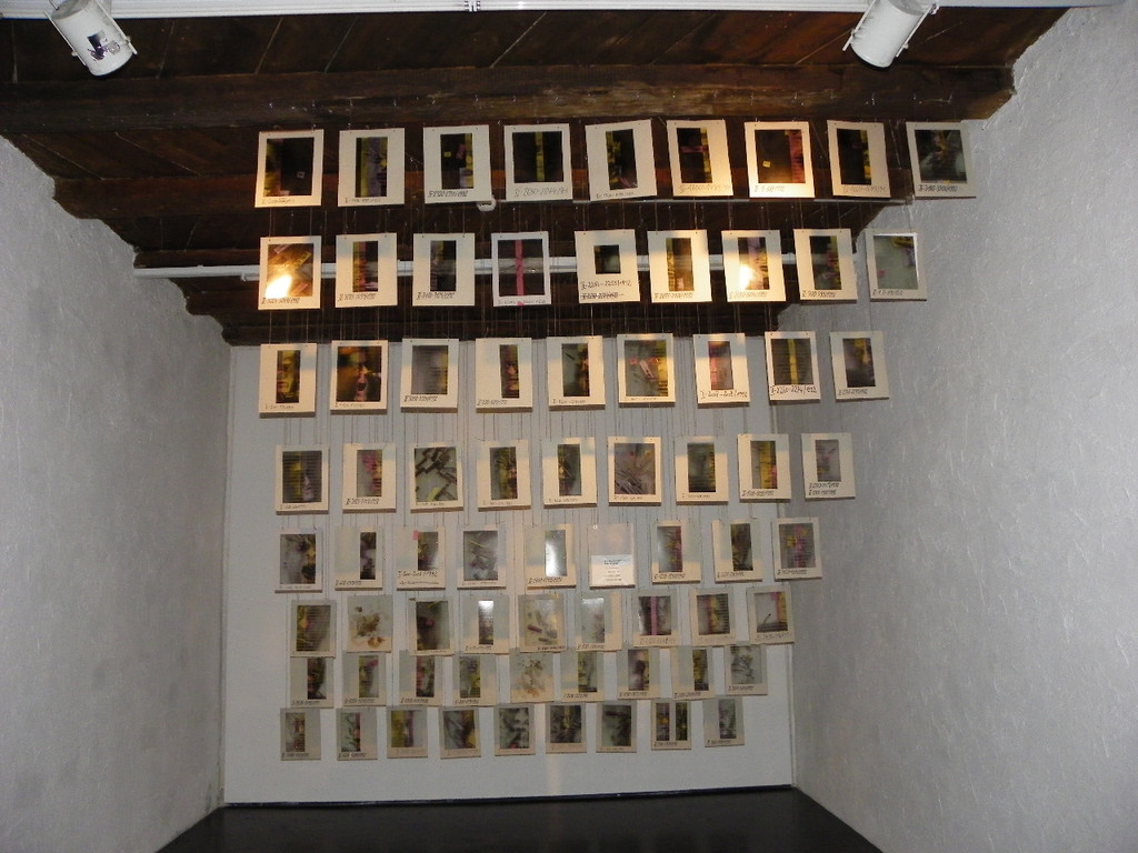 114_2645_JPG-1334787047