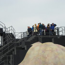 114_3312_JPG-1334788788