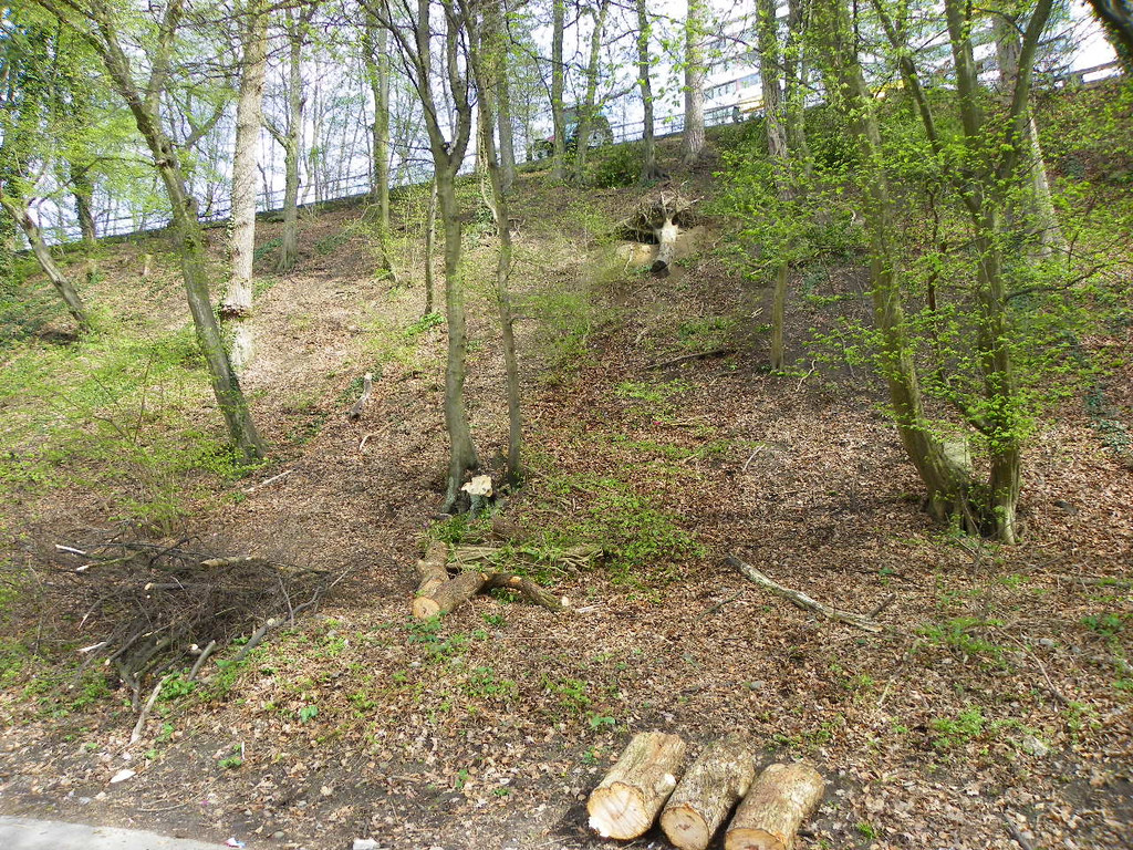 114_3164_JPG-1334789028