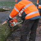 IMG_1160_JPG-1334789208