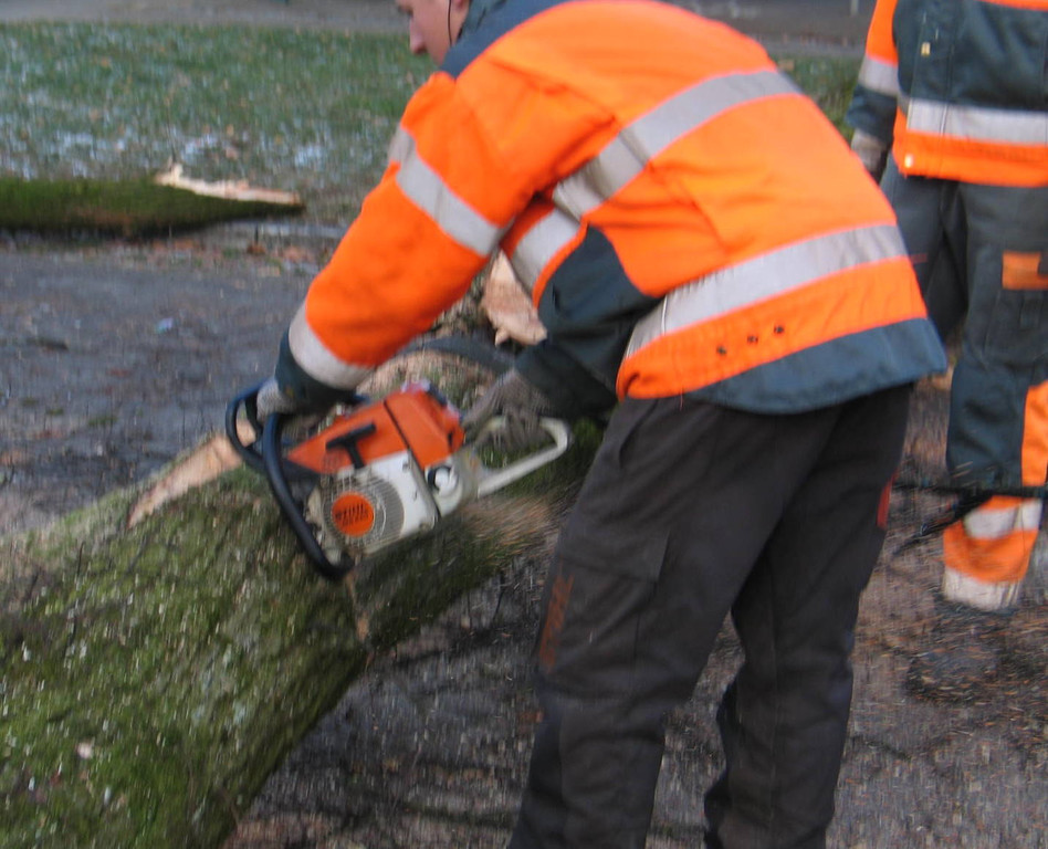 IMG_1160_JPG-1334789208