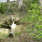 114_3165_JPG-1334789034