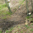 114_3166_JPG-1334789041