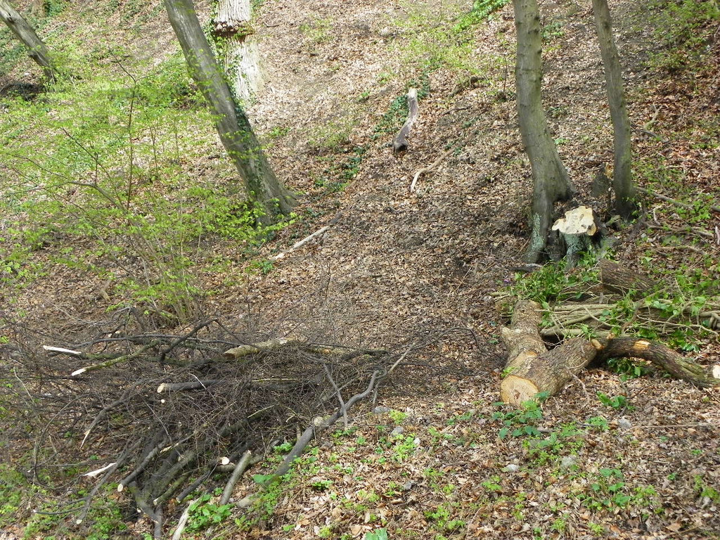 114_3166_JPG-1334789041