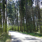 114_3444_JPG-1334789059