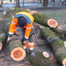 IMG_1189_JPG-1334789214