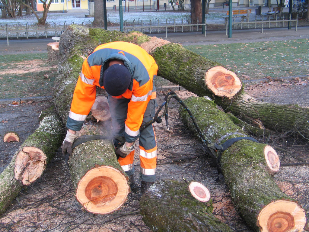 IMG_1189_JPG-1334789214