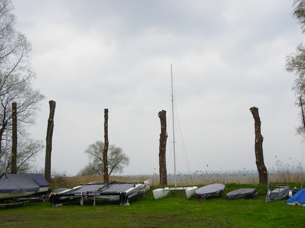 114_3353_JPG-1334789052