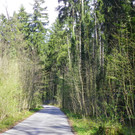 114_3448_JPG-1334789065