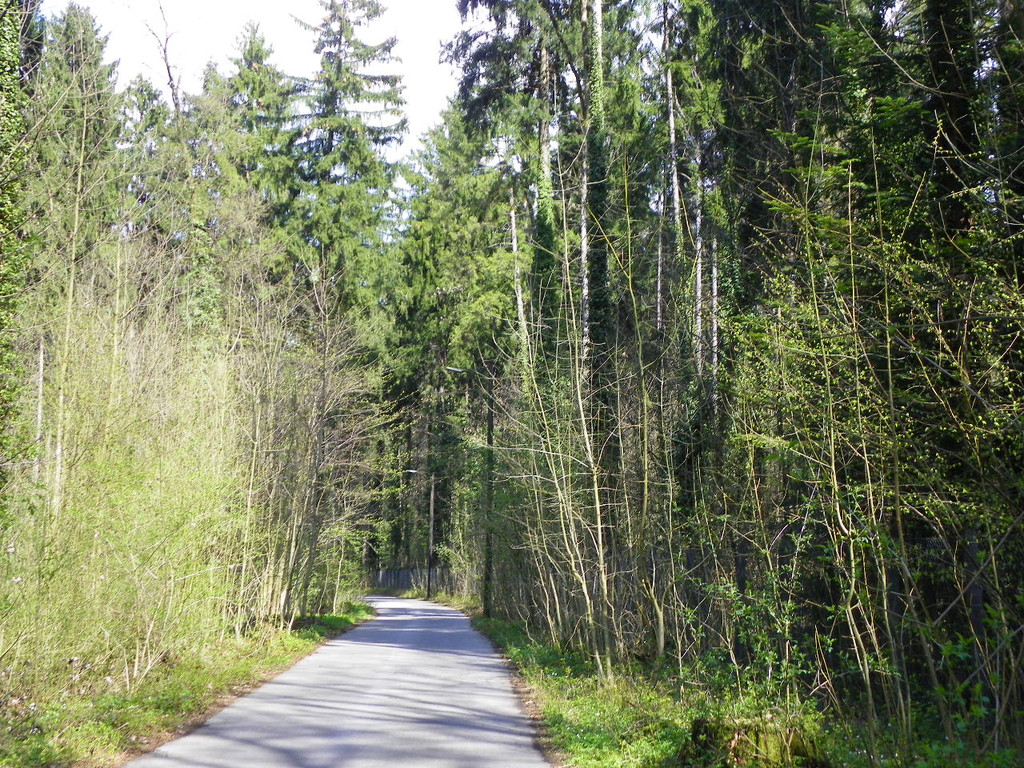 114_3448_JPG-1334789065