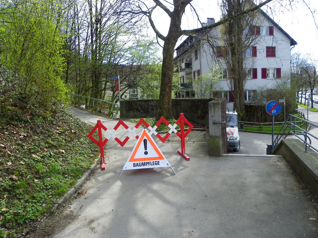 114_3161_JPG-1334789016