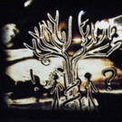 114_3227_JPG-1334793085