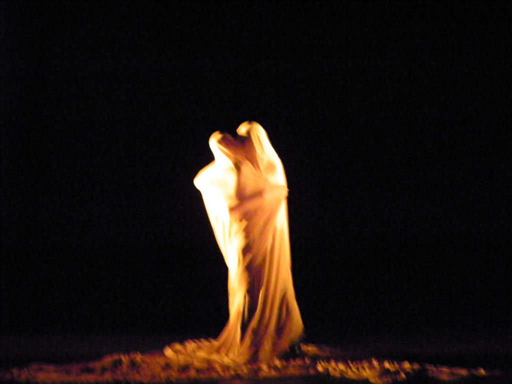 114_3239_JPG-1334793112