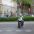 IMG_3466.JPG