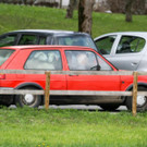 schaftransport3.jpg