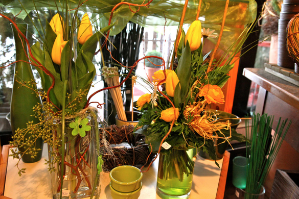 koe-Tulpen bei blumen huber-14.jpg